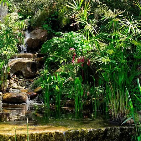 Un Joli Coin De Paradis 3*